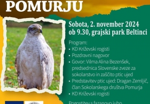 XV. SVEČANO ODPRTJE LOVA S SOKOLI V POMURJU